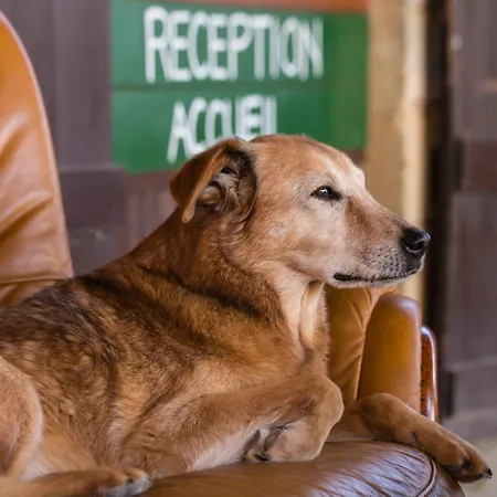 Domaine Des Mathevies Hotel 4*